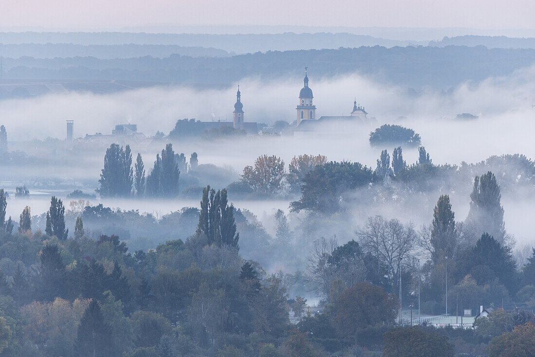 Nebel im Maintal, Kitzingen, Unterfranken, Franken, Bayern, Deutschland, Europa