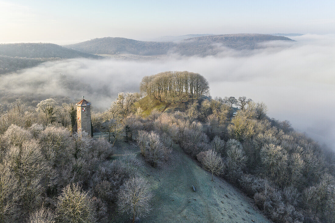  Morning at Schloßberg, Castell, Kitzingen, Lower Franconia, Franconia, Bavaria, Germany, Europe 