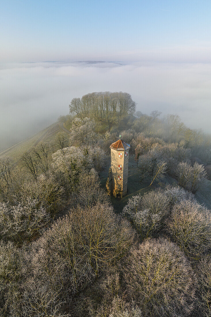  Morning at SchloÃŸberg, Castell, Kitzingen, Lower Franconia, Franconia, Bavaria, Germany, Europe 