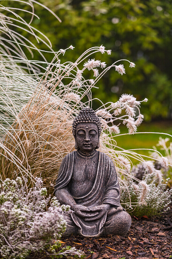 Sitzende Buddha Figur aus Stein im Gräser Garten bei Schnee und Eis freigestellt