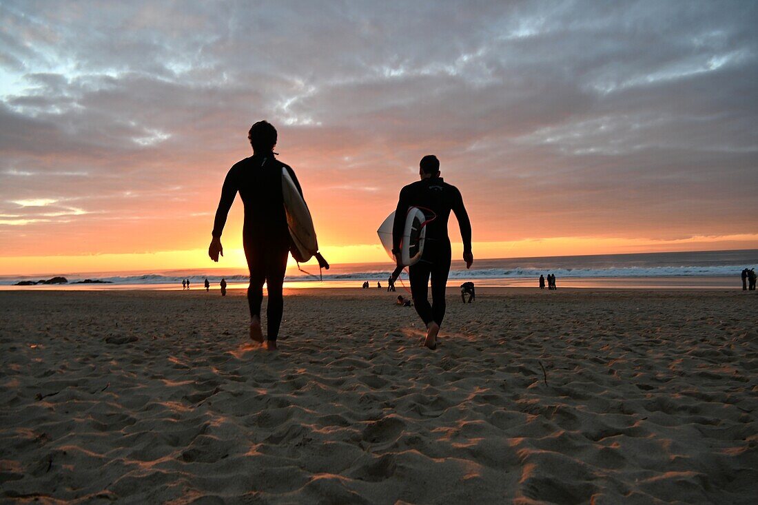  Surfers on the Atlantic Ocean, sunset at Praia do Guincho near Cascais, Portugal 