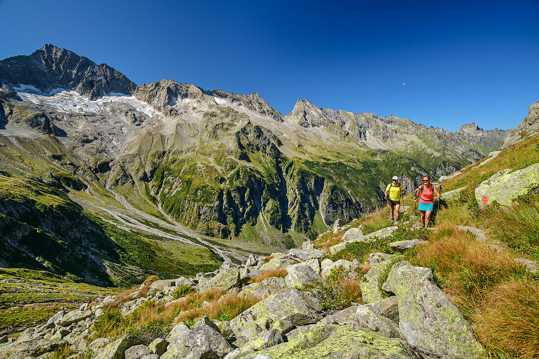  Man and woman hiking to Keilbachjoch, Great Spoonbill in the background, Zillertal Alps, Zillertal Alps Nature Park, Tyrol, Austria 