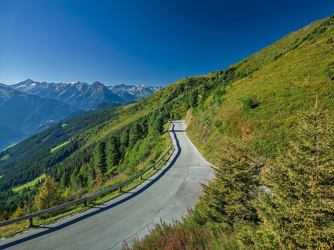 Zillertaler Höhenstraße führt auf Zillertaler Alpen zu, von der Zillertaler Höhenstraße, Tuxer Alpen, Zillertal, Tirol, Österreich