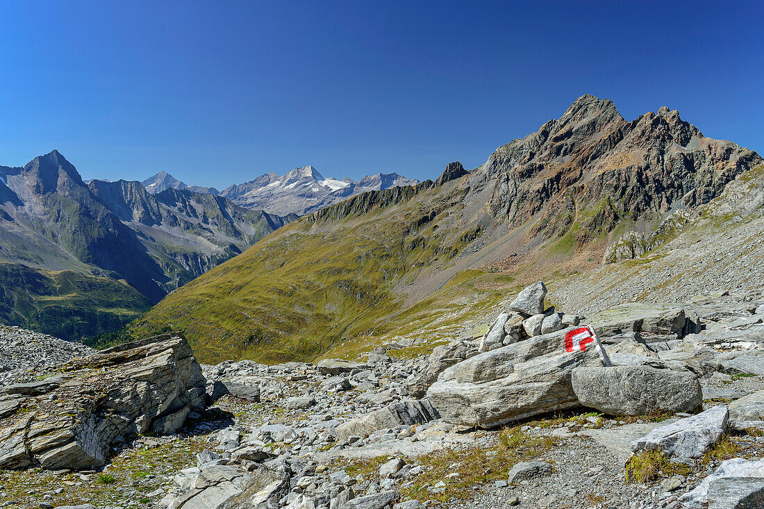 Steinmann im Mörchnerkar mit Zillertaler Alpen, Zillertaler Alpen, Naturpark Zillertaler Alpen, Tirol, Österreich