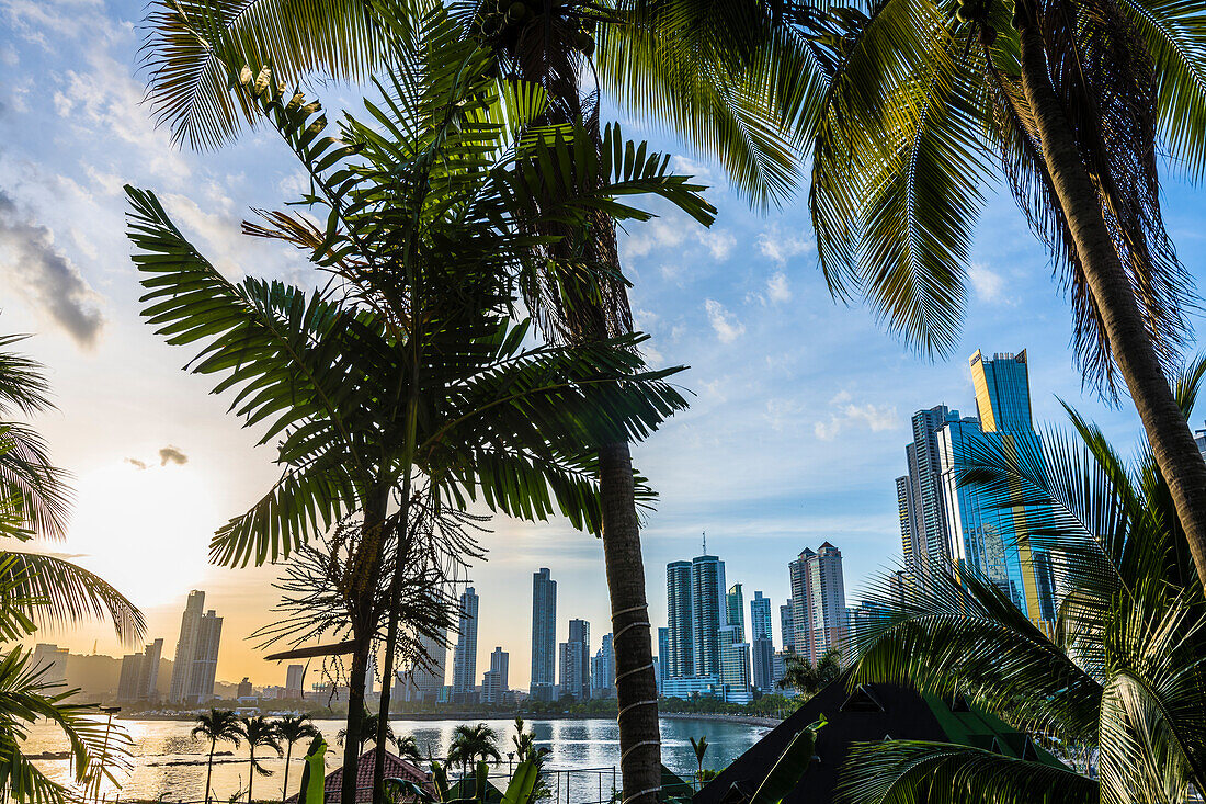  Punta Paitilla district, Panama City, Panama, America 