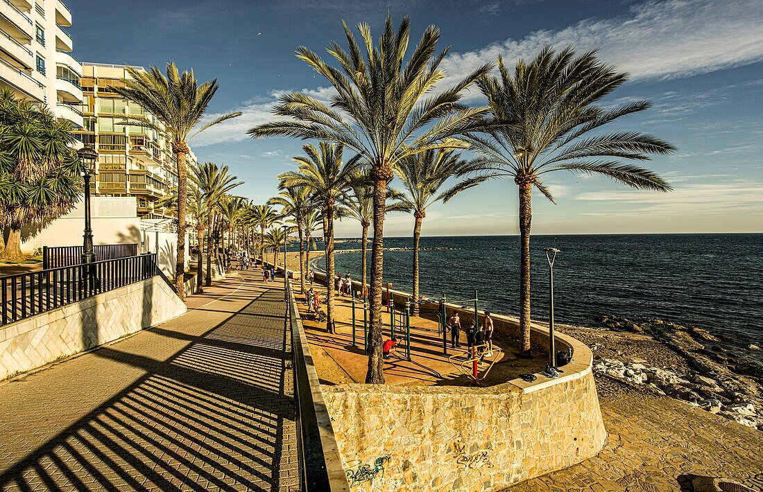  Marbella seafront promenade in winter, Costa del Sol, Andalusia, Spain 