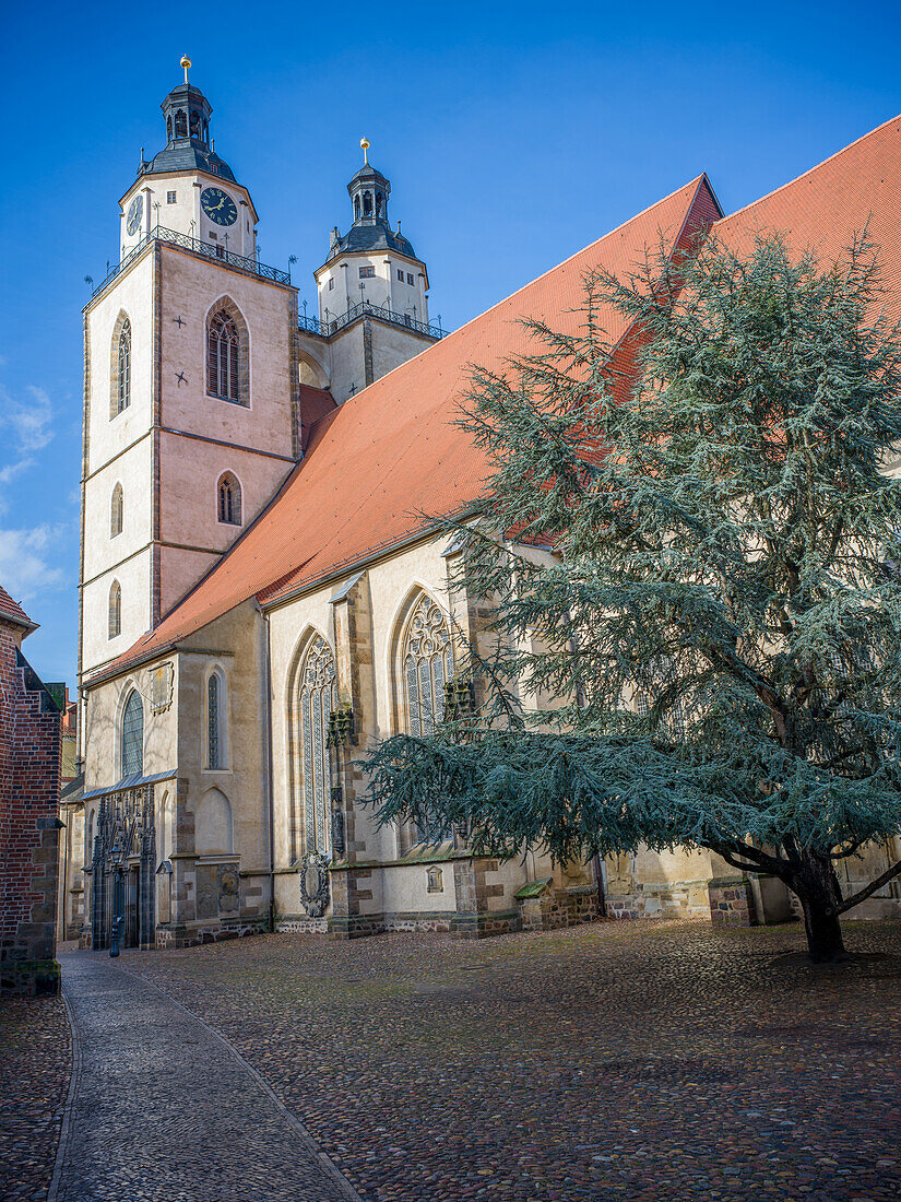 Stadtkirche St. Marien, Lutherstadt Wittenberg, Sachsen-Anhalt, Deutschland