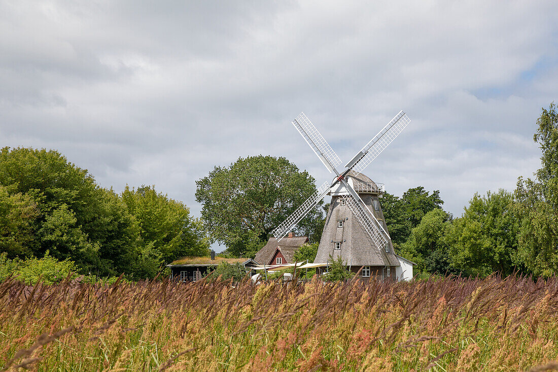 Windmühle in Ahrenshoop, Fischland Darß, Ostsee, Mecklenburg-Vorpommern, Deutschland