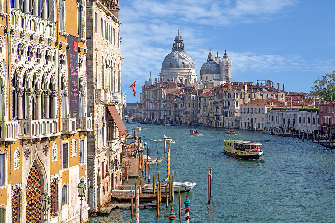 Blick über den Canal Grande zur Basilica di Santa Maria della Salute, Venedig, Italien