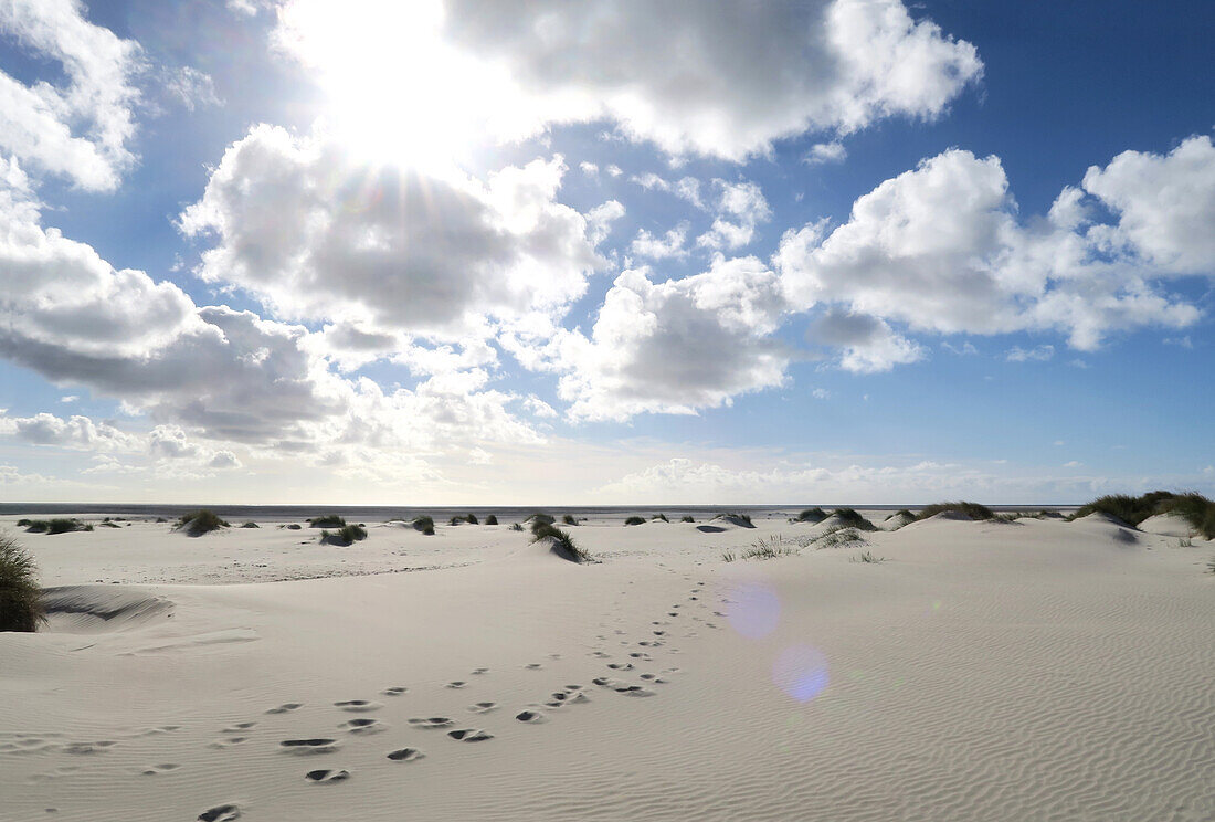  Sand, dune grass, dramatic cloudy sky and backlight on Amrum, North Sea, Schleswig-Holstein, Germany 