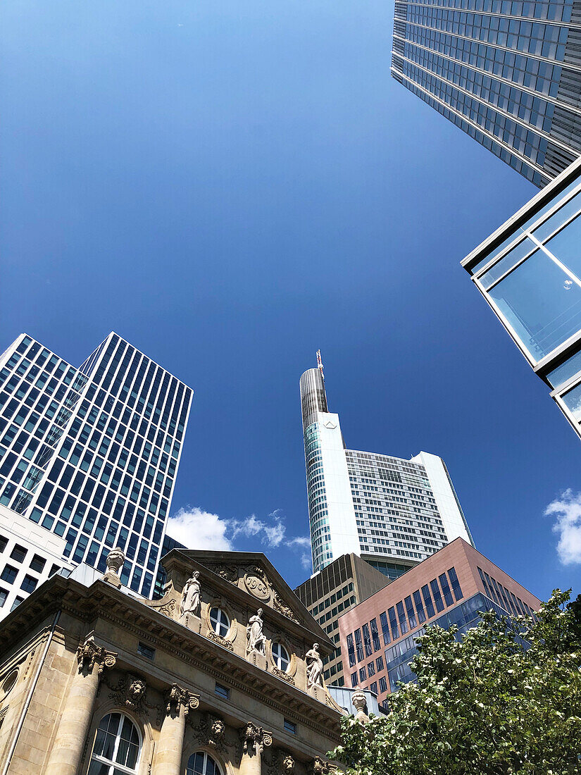 Blick nach oben im Bankenviertel, Commerzbank-Tower, Hochhäuser vor blauem Himmel, Frankfurt/Main, Hessen, Deutschland
