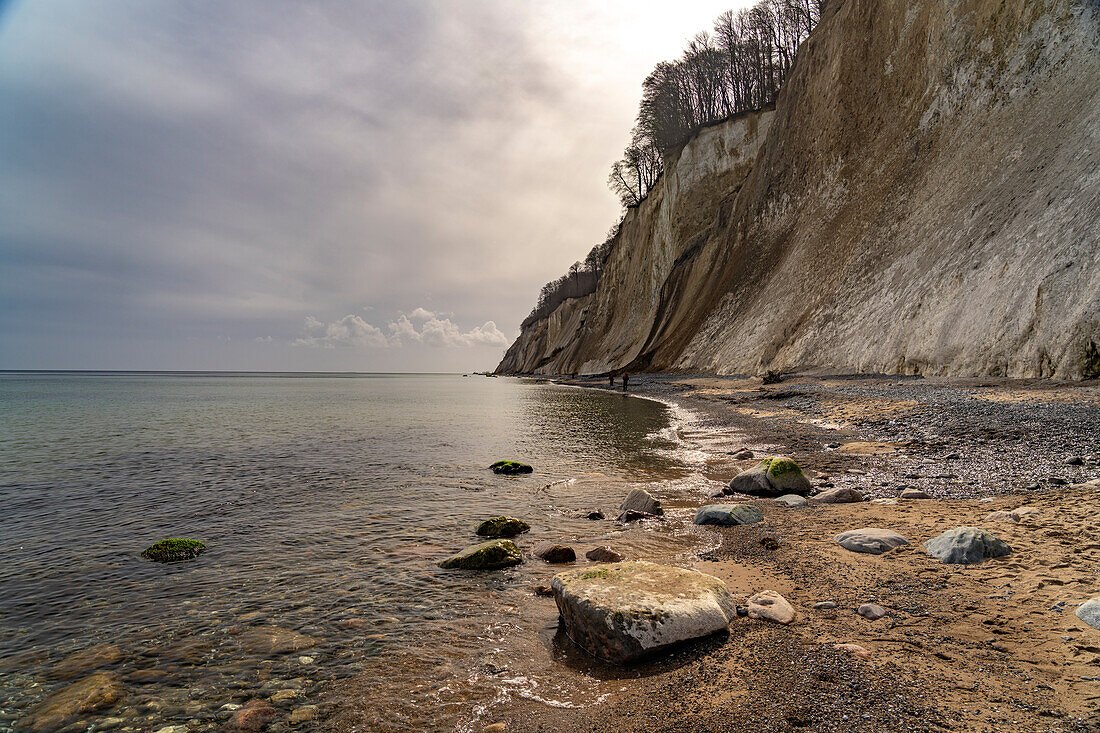  The famous chalk cliffs on the Baltic Sea coast in the Jasmund National Park, Ruegen Island, Mecklenburg-Western Pomerania, Germany   