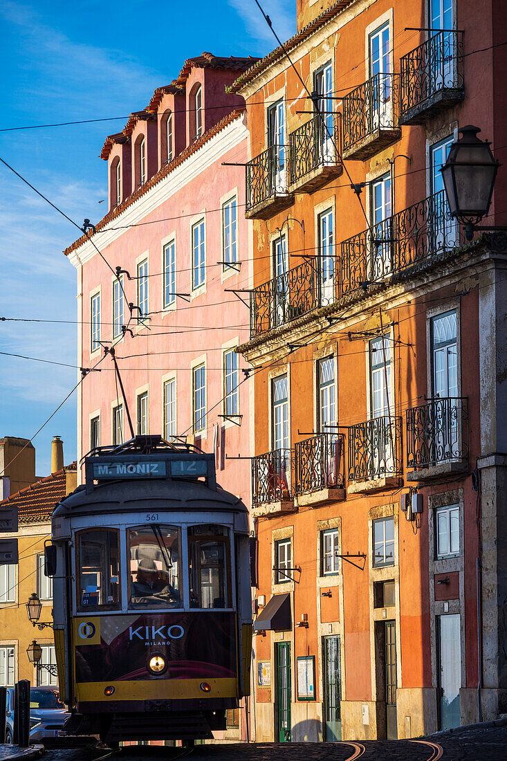  A tram passes Castelo, Lisbon, Portugal. 