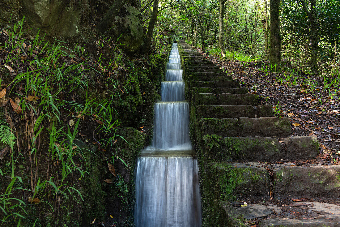 Bewässerungskanal, Levada, Ribeiro Frio, Madeira, Portugal.