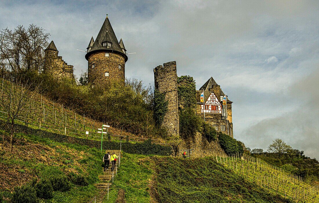 Wanderer am Stadtmauerrundweg in Bacharach, im Hintergrund die Burg Stahleck, Oberes Mittelrheintal, Rheinland-Pfalz, Deutschland