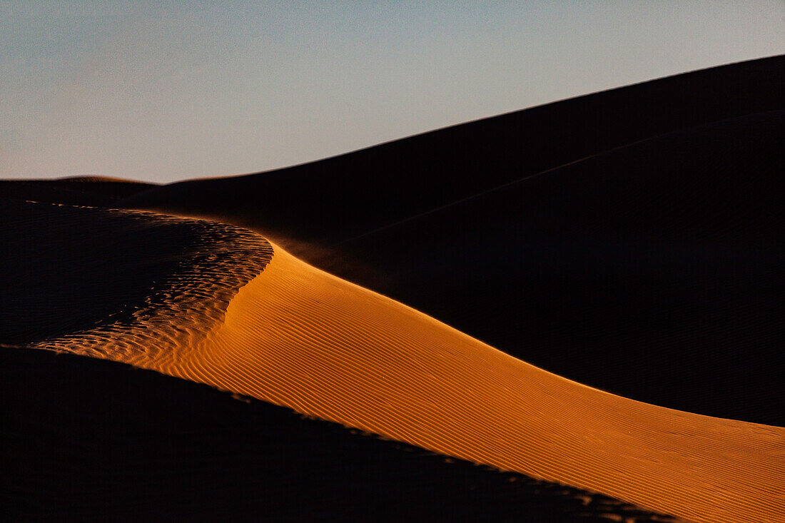  Africa, Morocco, Zagora, Sahara, Erg Lehoudi, sand dunes, light and shadow 