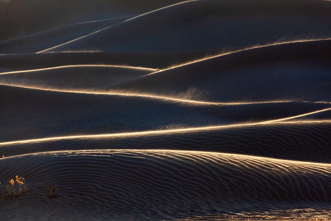  Africa, Morocco, Zagora, Sahara, Erg Lehoudi, sand dunes, light, shadow, wind 