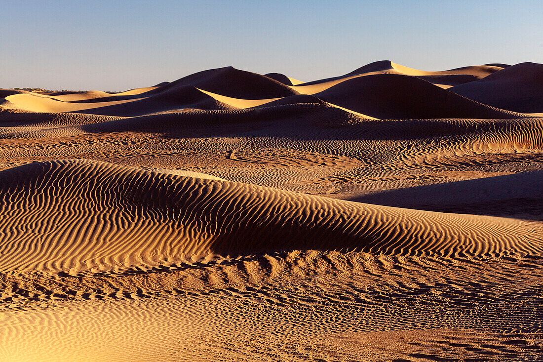 Afrika, Marokko, Zagora, Sahara, Erg Lehoudi, Sanddünen