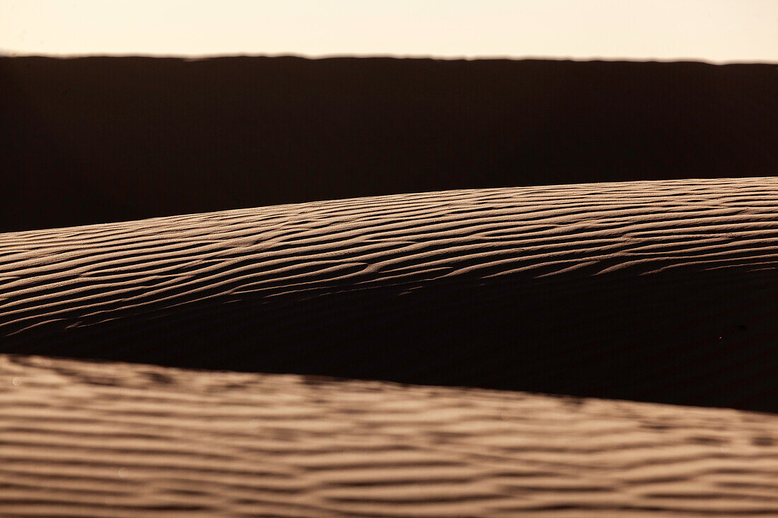  Africa, Morocco, Zagora, Sahara, Erg Lehoudi, sand dunes with wind patterns 