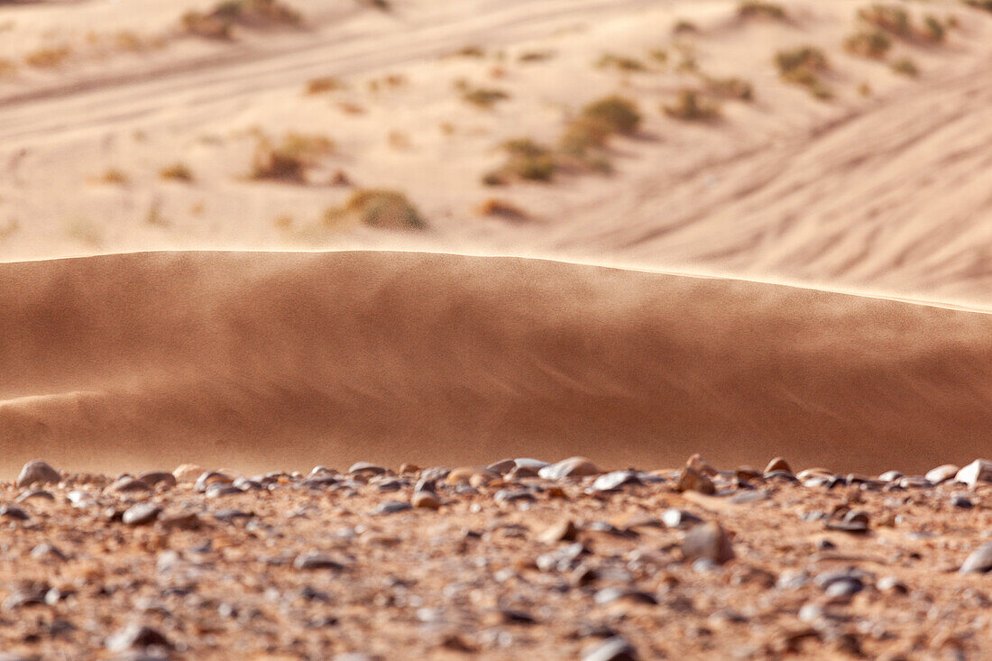  Africa, Morocco, Zagora, Sahara, Erg Lehoudi, sand and wind 