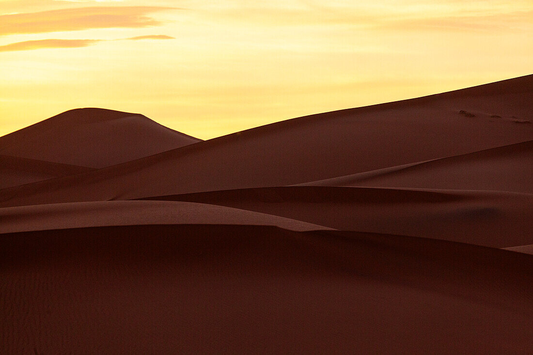 Afrika, Marokko, Zagora, Sahara, Erg Lehoudi, Sanddünen im Abendlicht