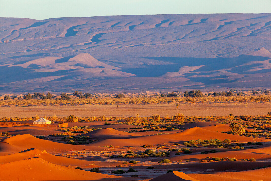  Africa, Morocco, Zagora, Sahara, Erg Lehoudi, Berber tent in the desert 