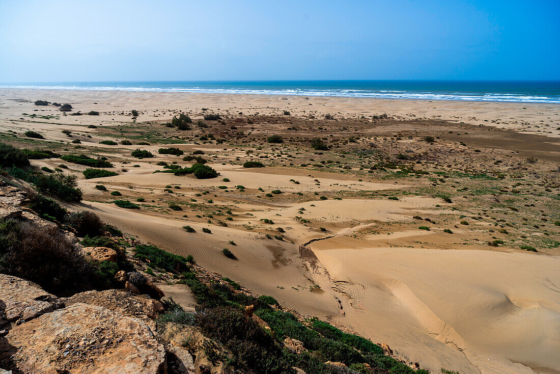  Africa, Morocco, Plage blanche, the white beach, dune landscape on the Atlantic 