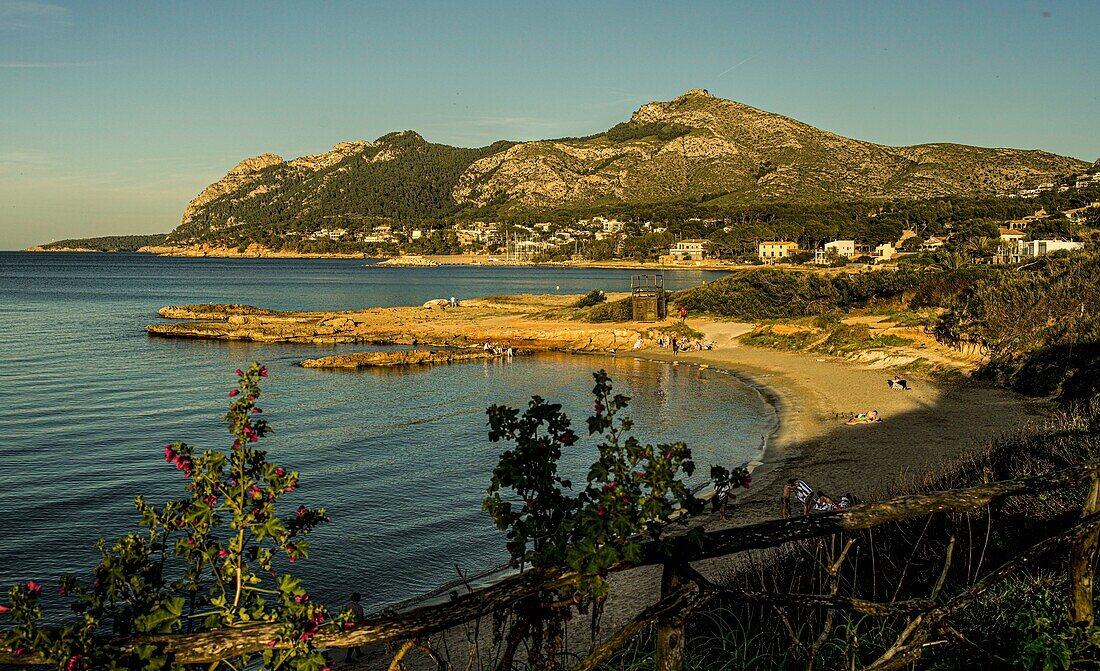 Blick am Abend auf die Platja de Sant Joan und die Meeresbucht, im Hintergrund das Tramuntana-Gebirge, Alcudia, Mallorca, Spanien