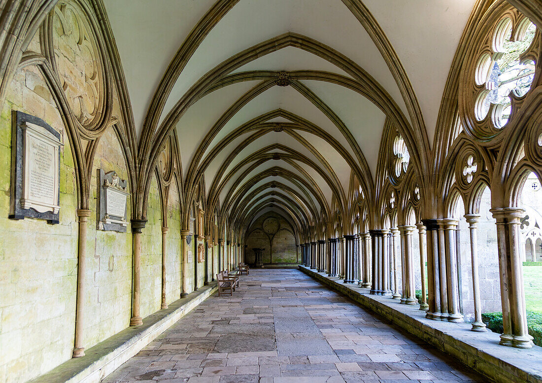 Gewölbedecke, Kreuzgang in der Kathedrale von Salisbury, Wiltshire, England, Großbritannien