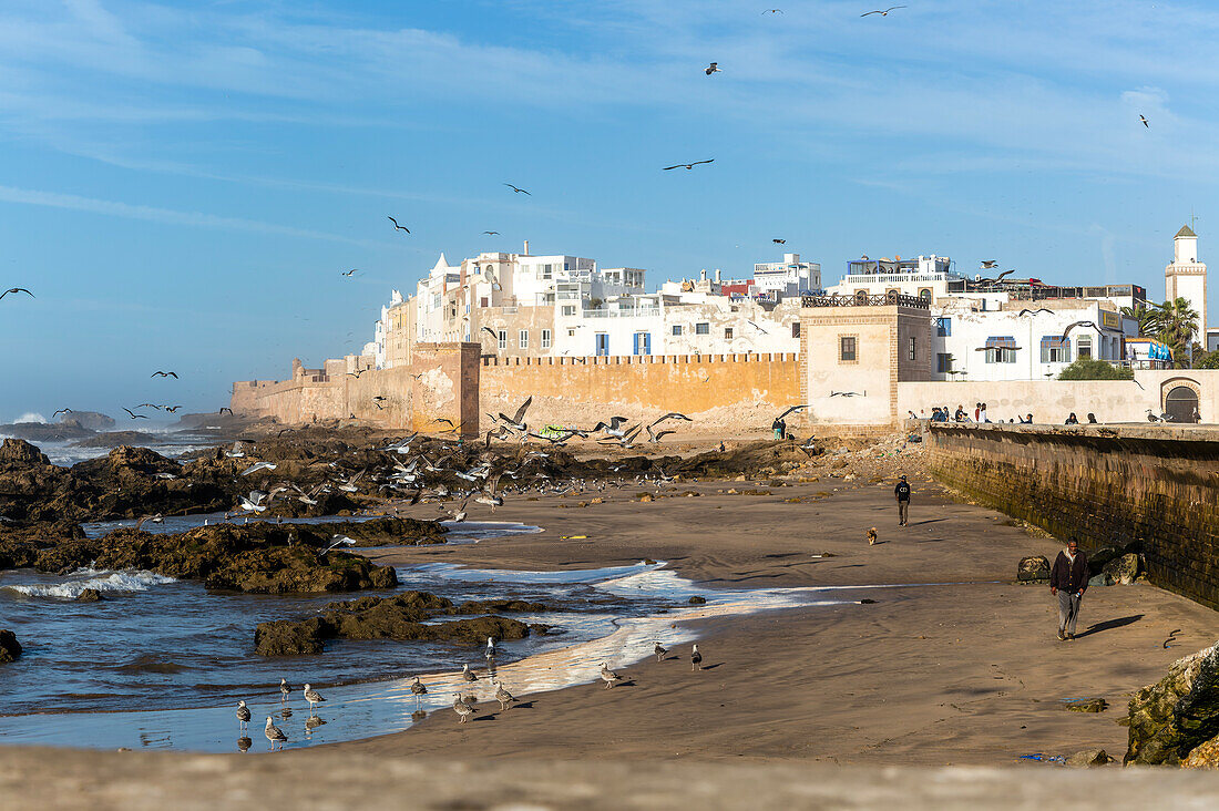 Walled town Medina from the coast, Essaouira, Morocco, north Africa