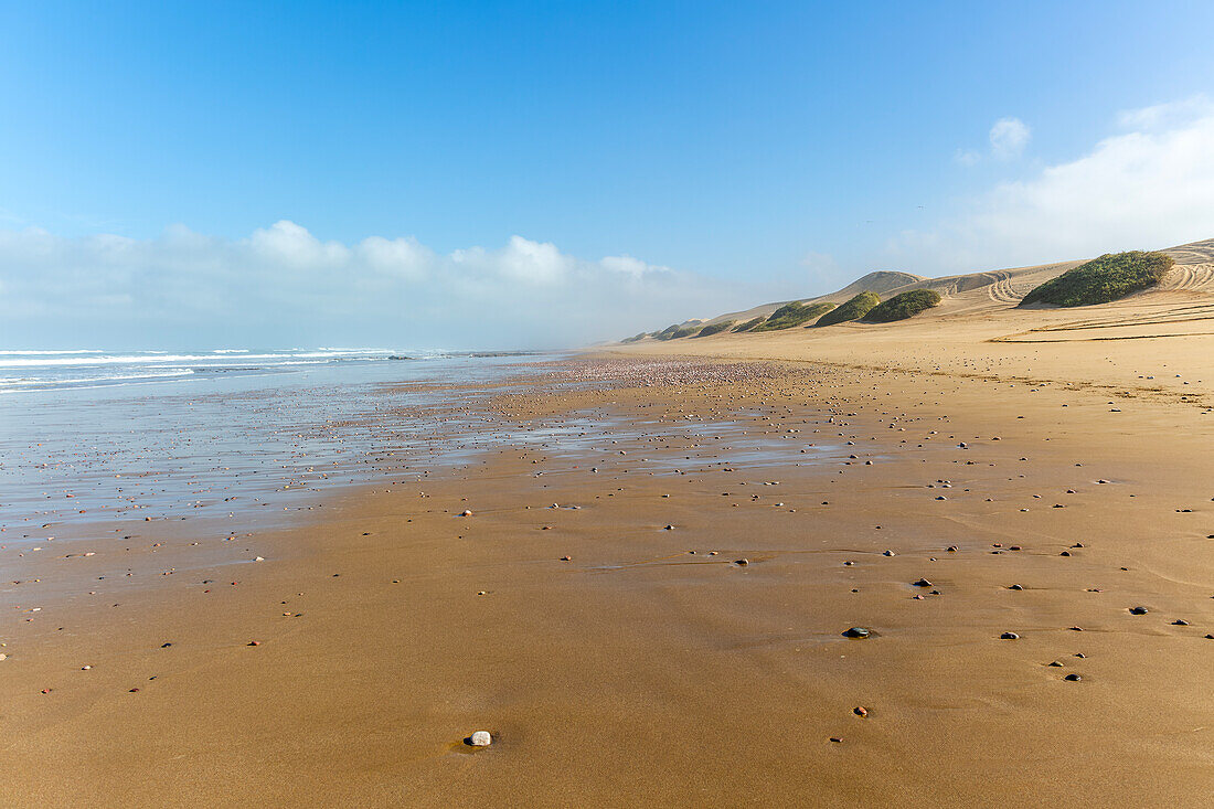 Sandy shoreline and dunes, Mimid beach, Sidi Boufdail, Mirleft, Morocco, north Africa