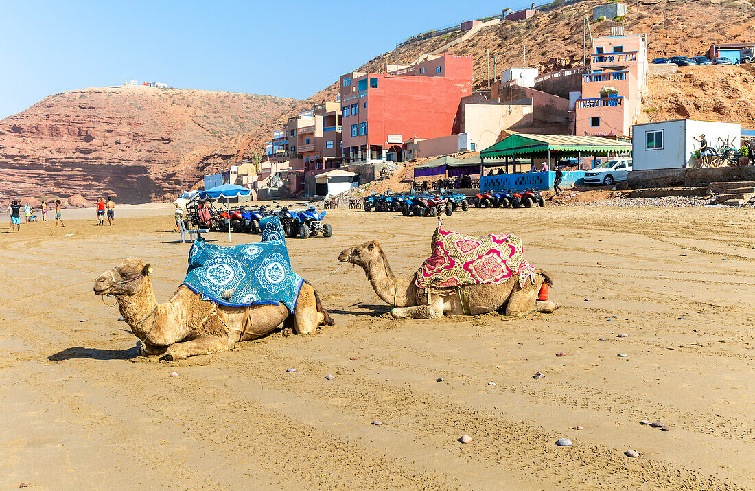 Camels on sandy beach and buildings, Legzira, southern Morocco, north Africa