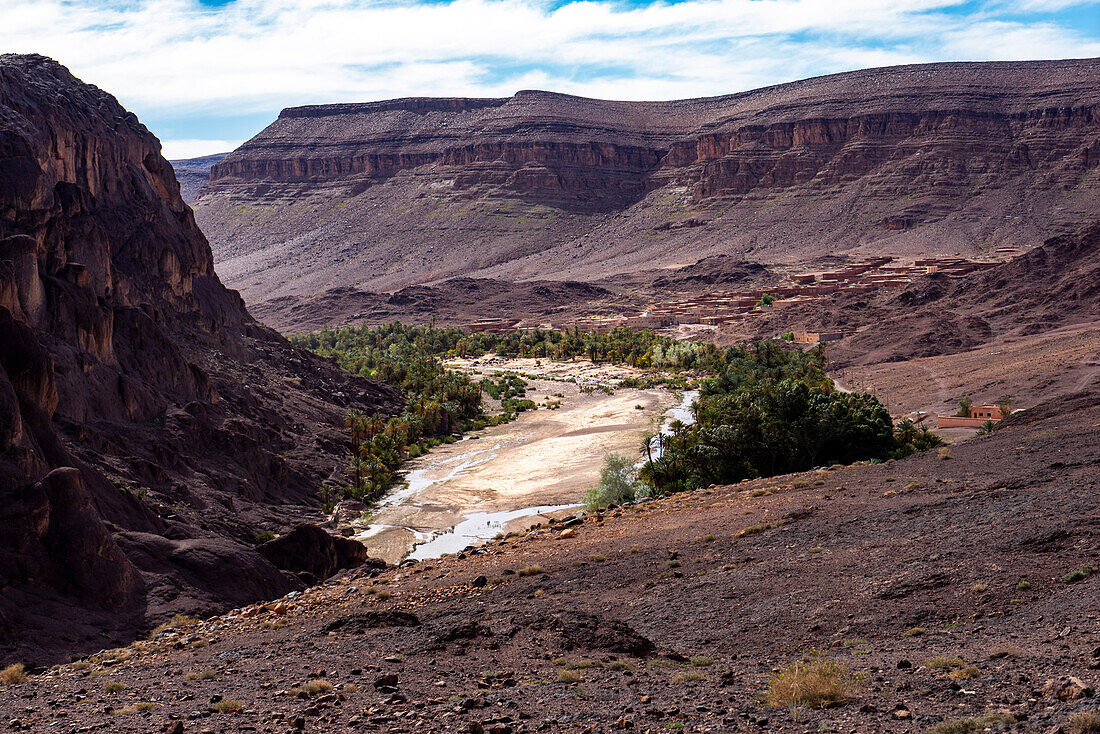  North Africa, Morocco, Flint Oasis near Ouarzazate 