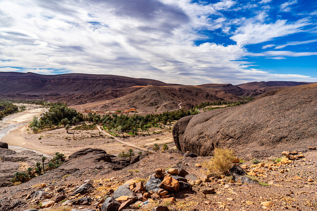  North Africa, Morocco, Flint Oasis near Ouarzazate 