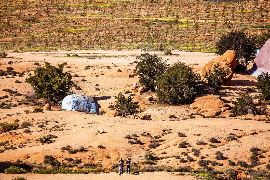 Nordafrika, Marokko, Provinz Tiznit, Tafraoute,\n