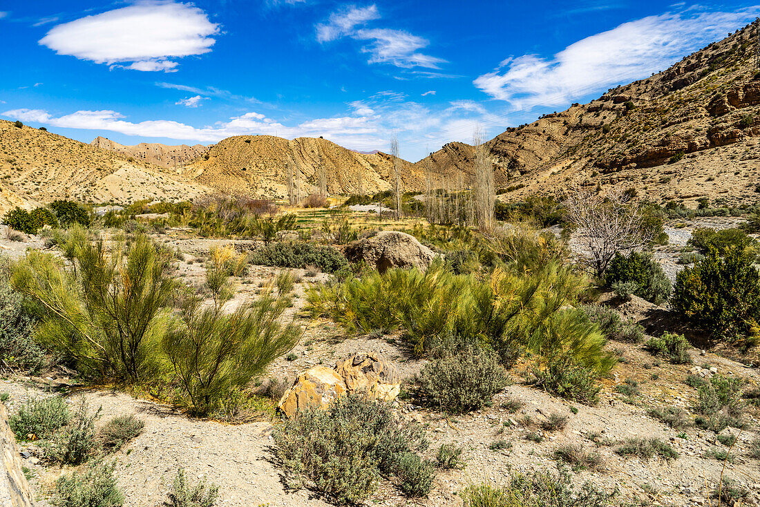  North Africa, Morocco, landscape by a river 