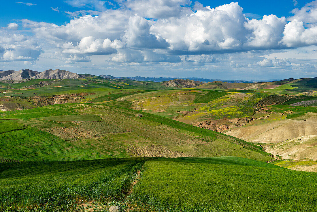  North Africa, Morocco, North, hilly landscape, agriculture, 