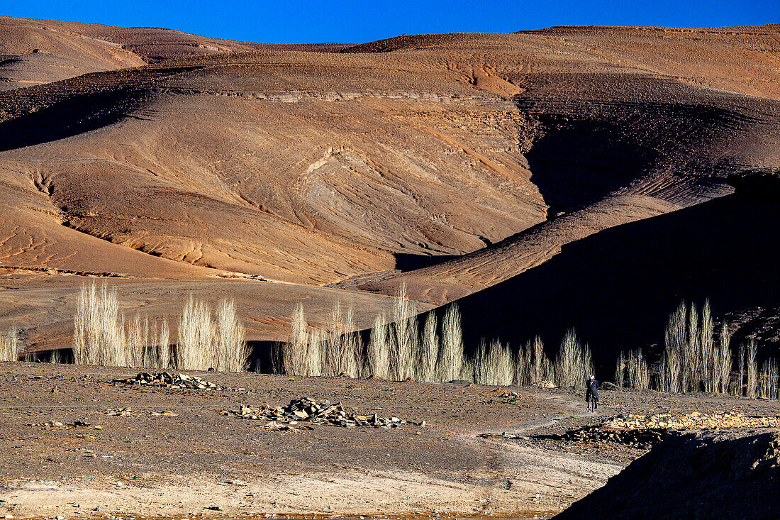  North Africa, Morocco, South, Berber, 