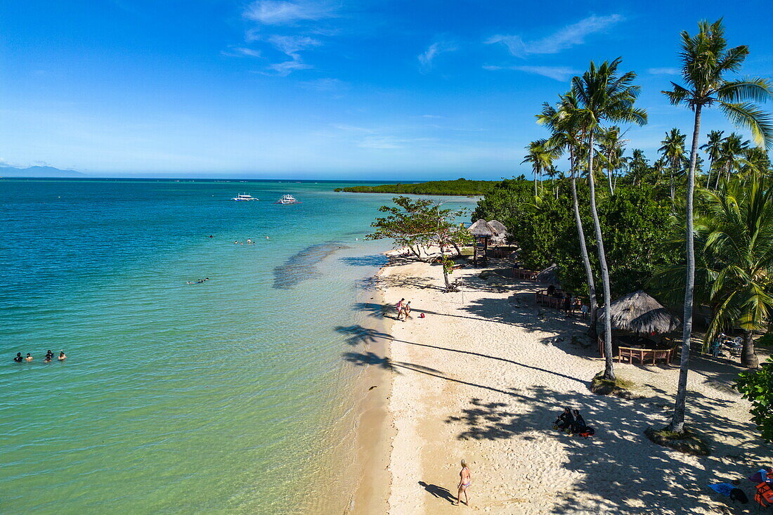  Aerial view of people on beach with coconut trees on Cowrie Island, Honda Bay, near Puerto Princesa, Palawan, Philippines 