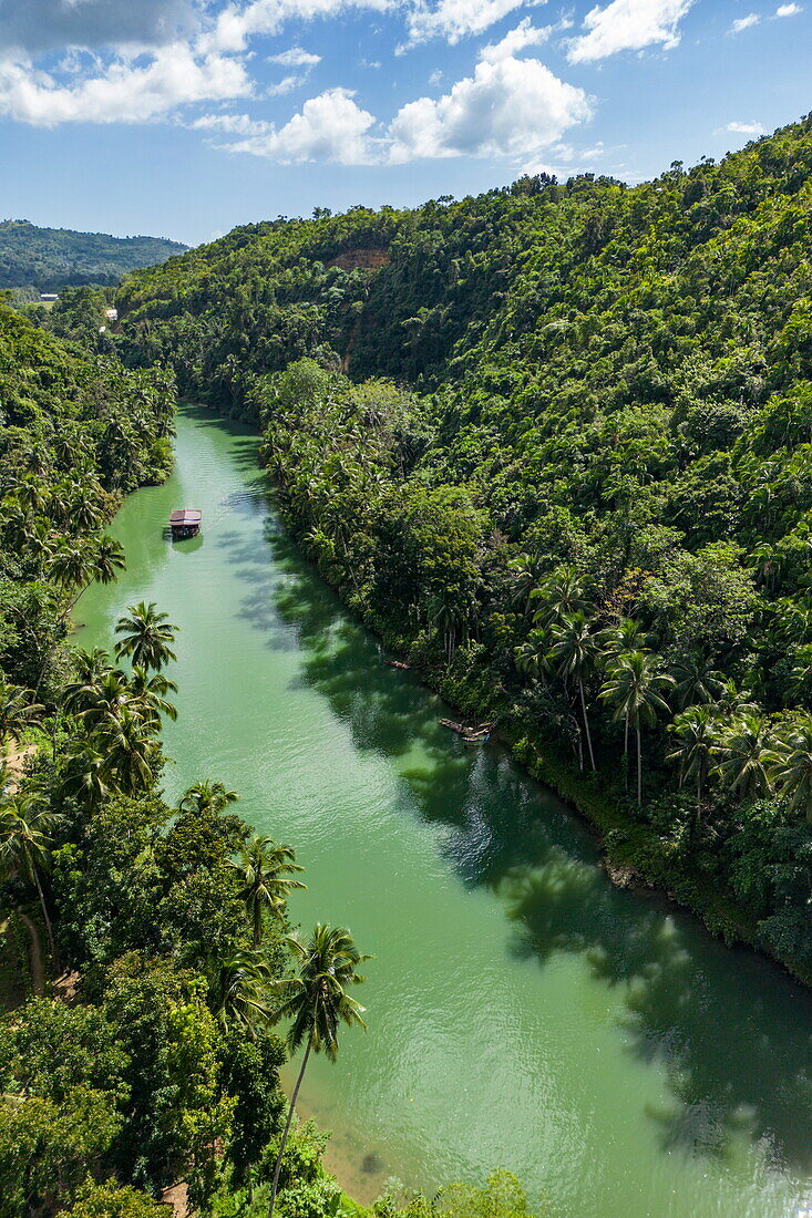  Aerial view of Loboc River and rainforest with tour boat, near Loboc, Bohol, Philippines 