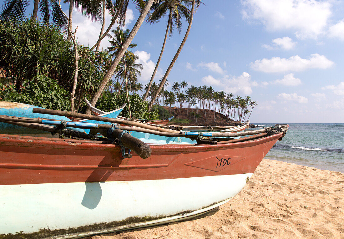 Bunte Fischerboote unter Kokospalmen am tropischen Sandstrand, Mirissa, Sri Lanka