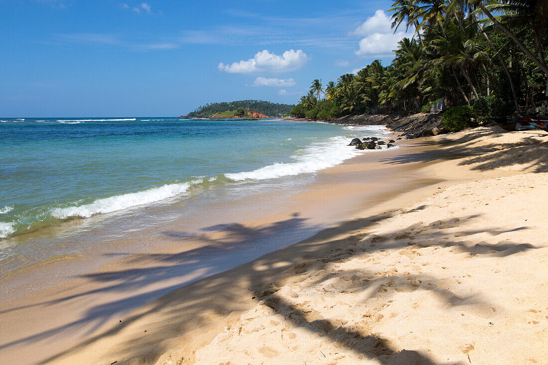 Tropical landscape of palm trees and sandy beach, Mirissa, Sri Lanka, Asia shadow of palm tree