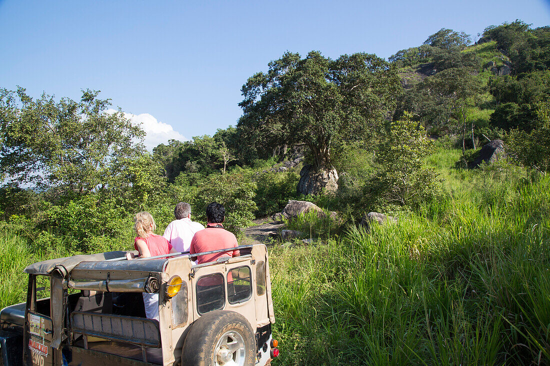 Elephant safari in Hurulu Eco Park biosphere reserve, Habarana, Anuradhapura District, Sri Lanka, Asia