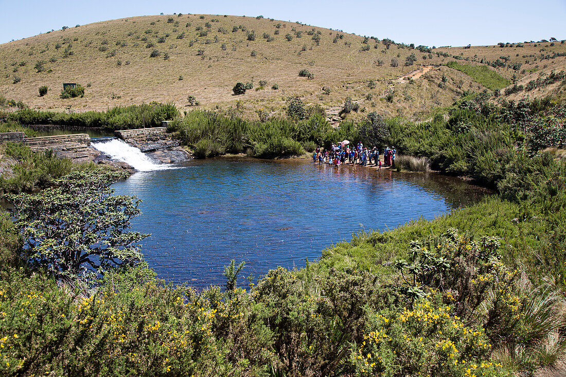 Weir and pool in the Belihul Oya river, Horton Plains National Park, Central Province, Sri Lanka, Asia