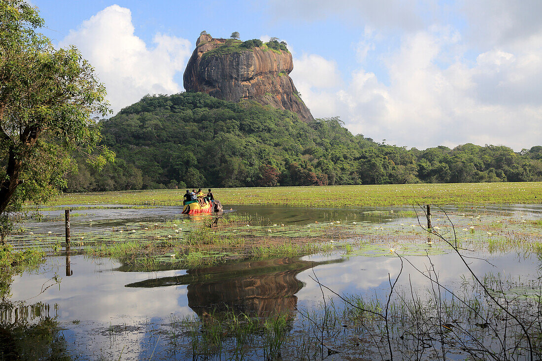 Elefantenritt im See beim Felsenpalast, Sigiriya, Zentralprovinz, Sri Lanka, Asien