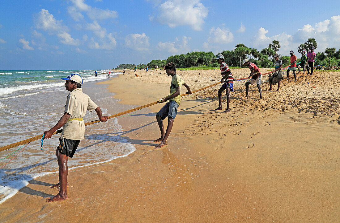 Traditional fishing hauling nets Nilavelli beach , near Trincomalee, Eastern province, Sri Lanka, Asia