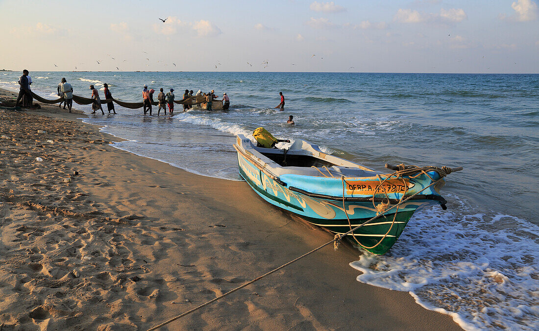 Traditional fishing hauling nets Nilavelli beach , near Trincomalee, Eastern province, Sri Lanka, Asia