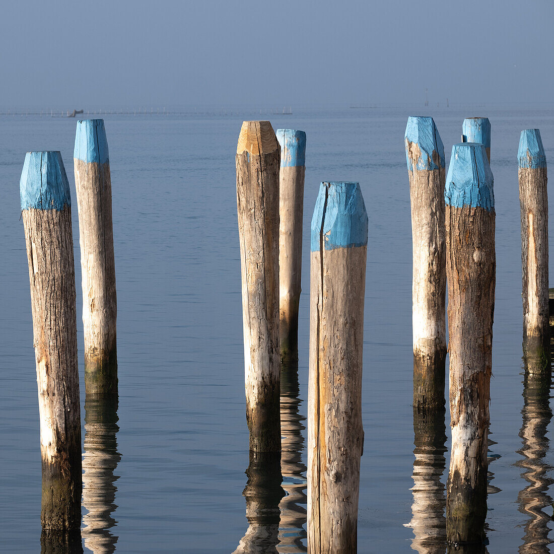  View of wooden piles in a fishing port, Venice Lagoon, Veneto, Italy, Europe 