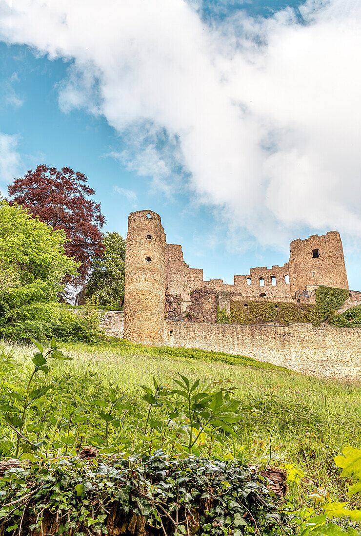  View of the castle ruins of Frauenstein in the town of the same name, Saxony, Germany 