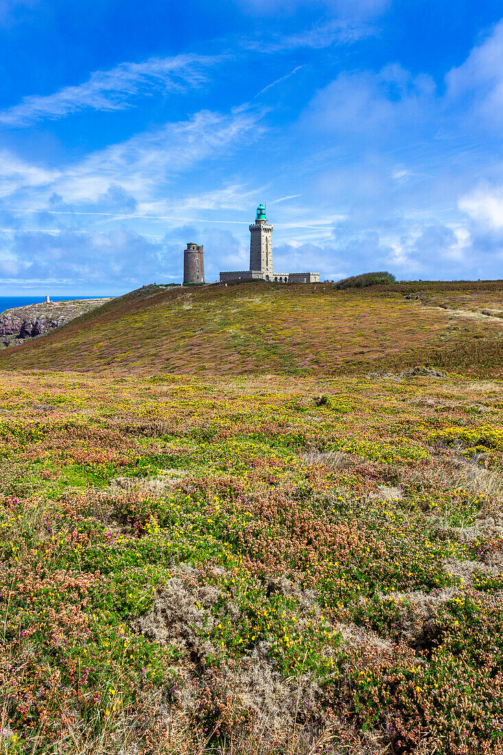 Cap Fréhel, Plévenon, Côtes-d'Armor, France